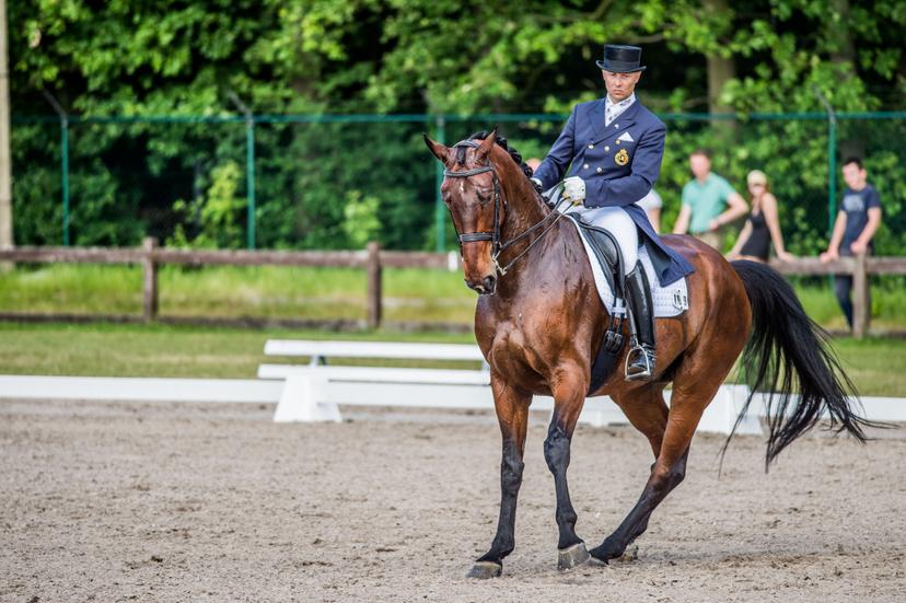 20140522 - KAPELLEN, BELGIUM: Belgian Jeroen Devroe and his horse Eres DL pictured in action at the Grand Prix Dressage competition at the Kapellen Jumping and Dressage equestrian event, in Kapellen, Thursday 22 May 2014. BELGA PHOTO JONAS ROOSENS