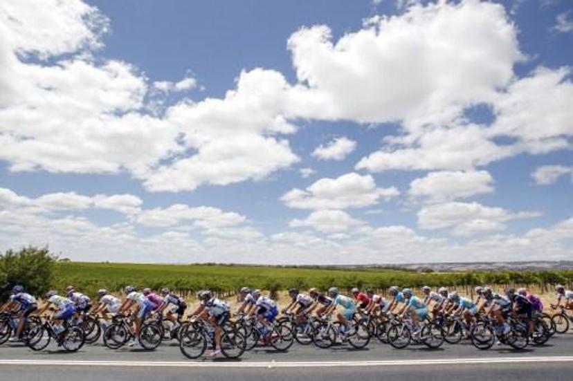 The peloton rides during the 151.5-km stage 5 of the Tour Down Under in Adelaide on January 26, 2013.  The six-stage Tour Down Under is taking place from January 20 to 27.     AFP PHOTO / Mark Gunter IMAGE STRICTLY RESTRICTED TO EDITORIAL USE - STRICTLY NO COMMERCIAL USE IMAGE STRICTLY RESTRICTED TO EDITORIAL USE - STRICTLY NO COMMERCIAL USE

