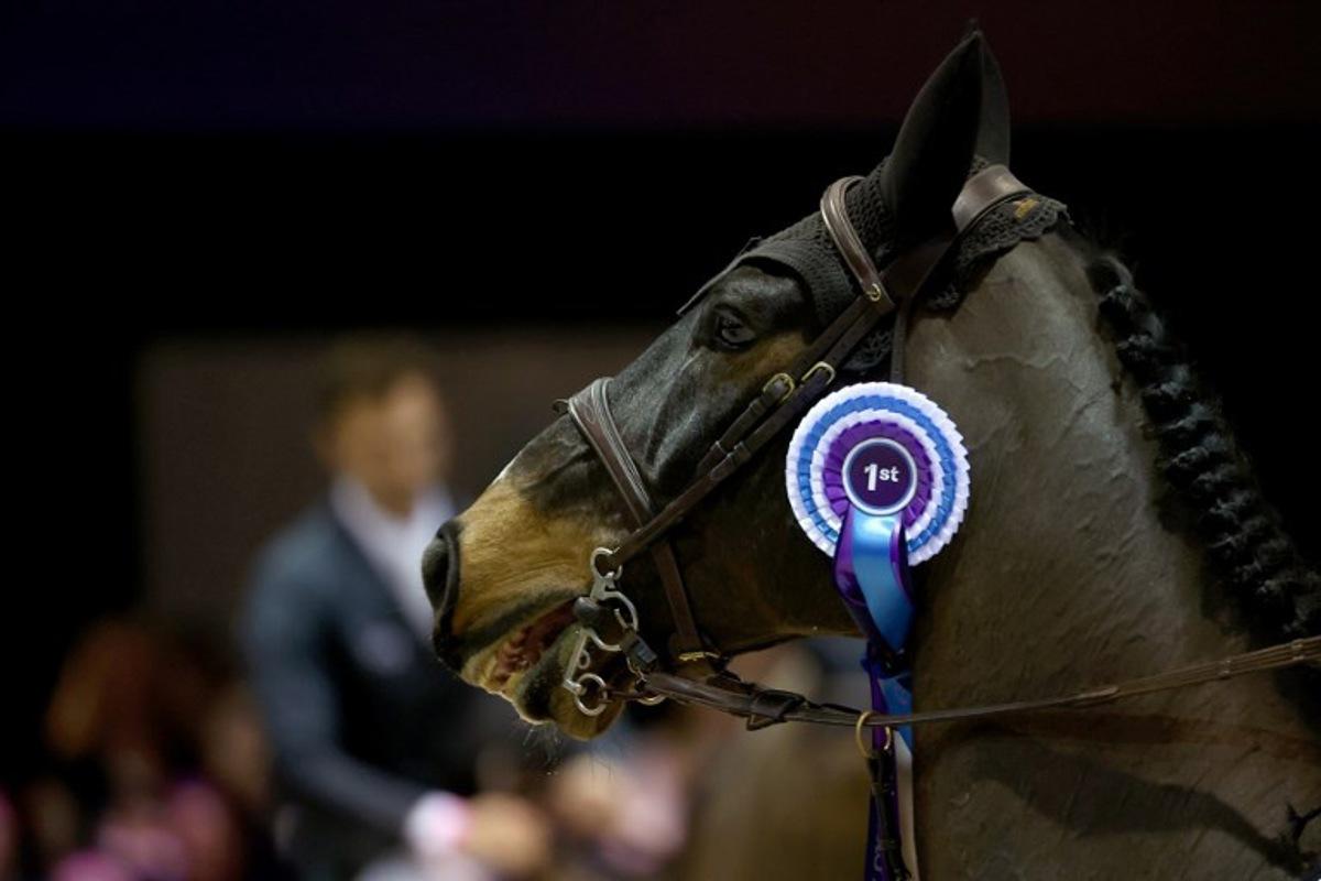 Switzerland' Martin Fuchs riding Connor Jei made wears his first prize after the FEI World Cup Jumping event at the Parc des Expositions in Bordeaux, south-western France, on February 8, 2025. ROMAIN PERROCHEAU / AFP